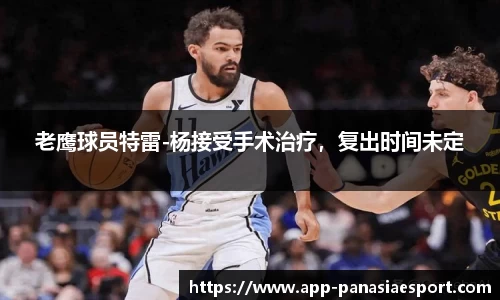 老鹰球员特雷-杨接受手术治疗,复出时间未定